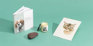 Exploring virtual pet memorials