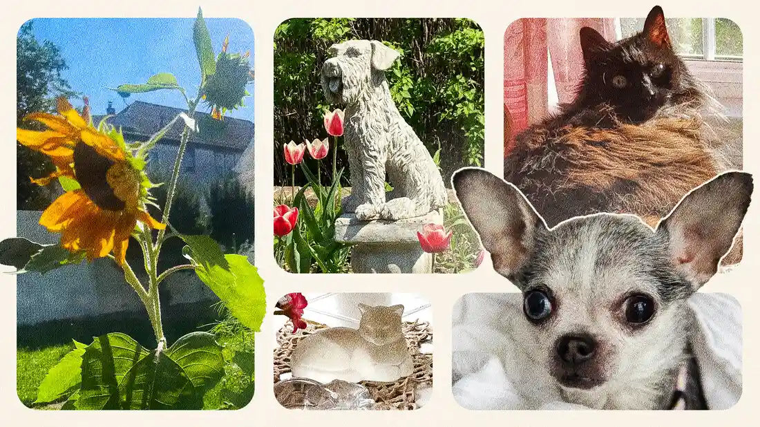 How Home Remodeling Can Include Virtual Pet Memorials in Your Space